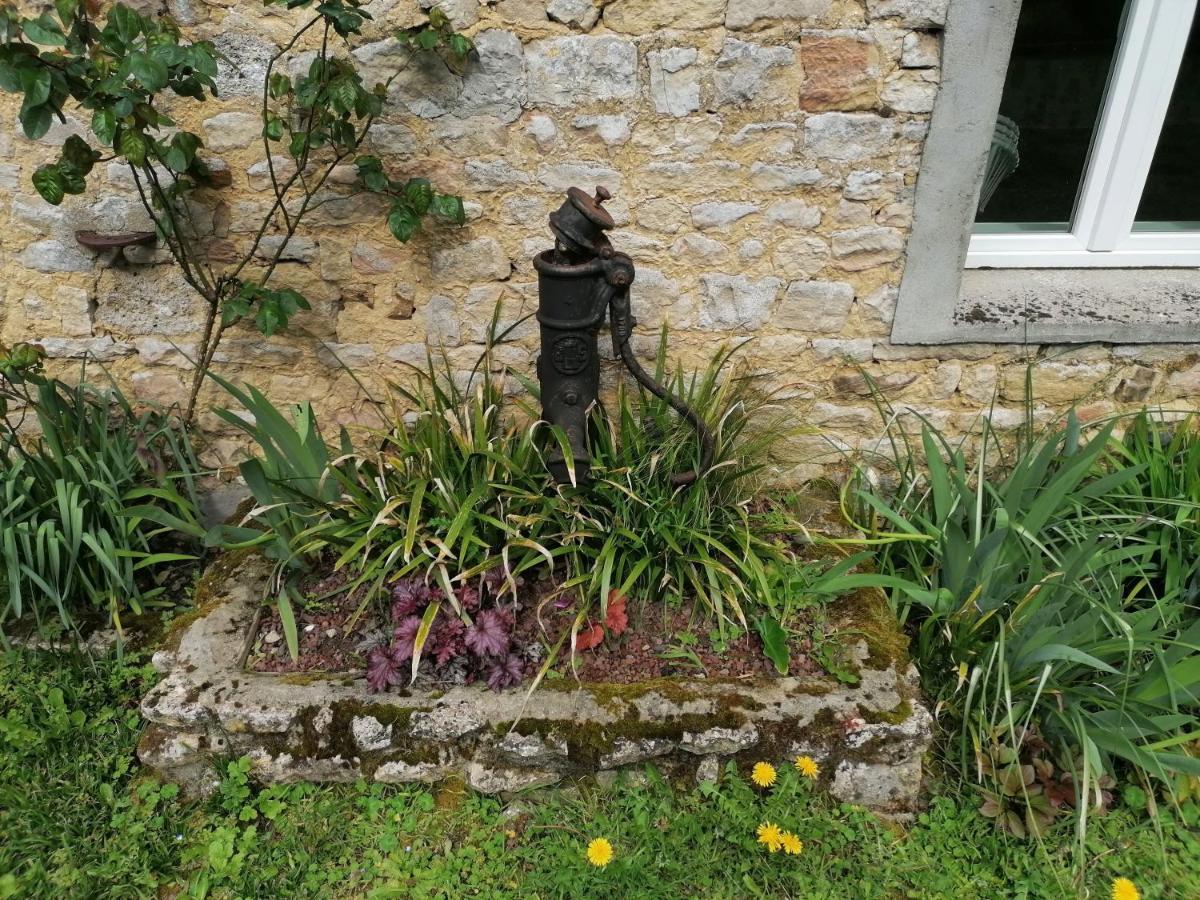Maison Renovee En Pierres Sejour Spacieux Avec Jardin Et Terrasse Amenagee Pres Omaha Beach & Bayeux A 5Mn De La Mer Tous Commerces Commes Eksteriør bilde