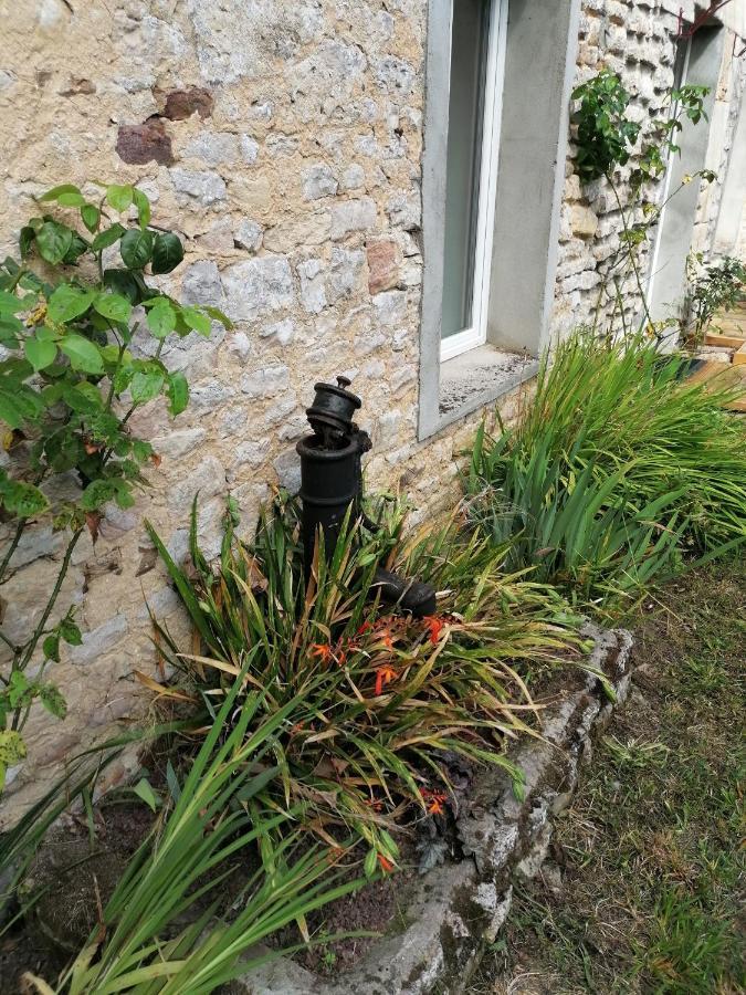 Maison Renovee En Pierres Sejour Spacieux Avec Jardin Et Terrasse Amenagee Pres Omaha Beach & Bayeux A 5Mn De La Mer Tous Commerces Commes Eksteriør bilde