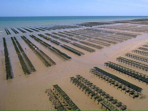 Maison Renovee En Pierres Sejour Spacieux Avec Jardin Et Terrasse Amenagee Pres Omaha Beach & Bayeux A 5Mn De La Mer Tous Commerces Commes Eksteriør bilde