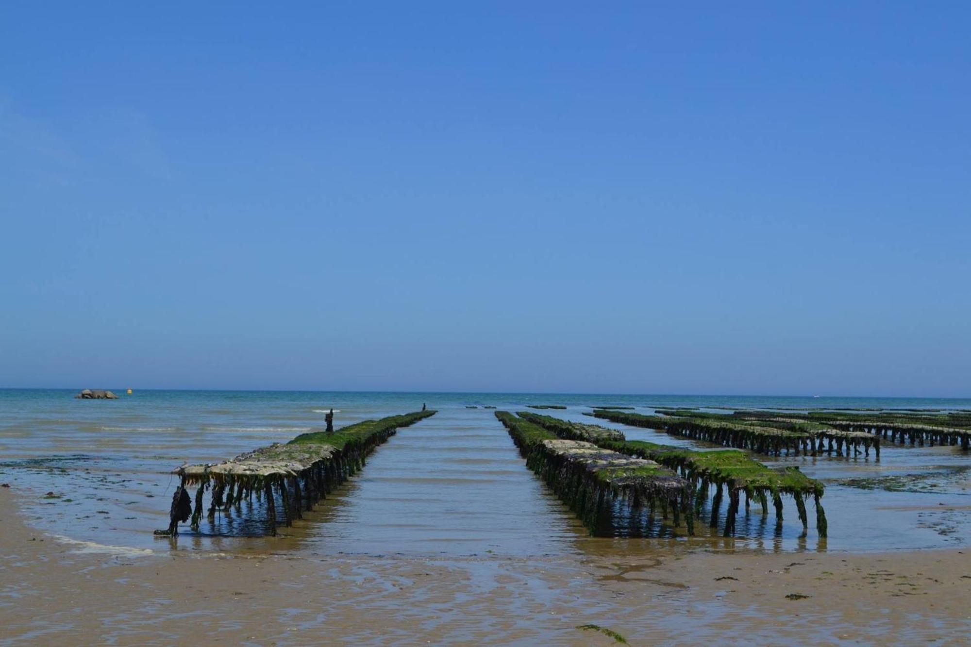 Maison Renovee En Pierres Sejour Spacieux Avec Jardin Et Terrasse Amenagee Pres Omaha Beach & Bayeux A 5Mn De La Mer Tous Commerces Commes Eksteriør bilde